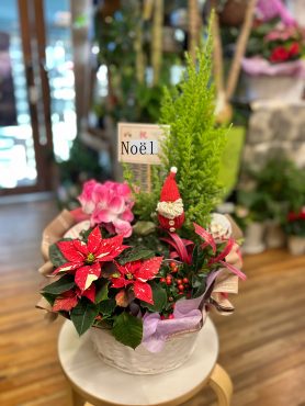 ウインターギフトにおすすめ ウインターギフトにおすすめ