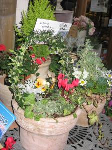 ガーデニングで　こころウキウキ✿❀✿｜「フローリスト飾り屋」　（鹿児島県鹿児島市の花キューピット加盟店 花屋）のブログ