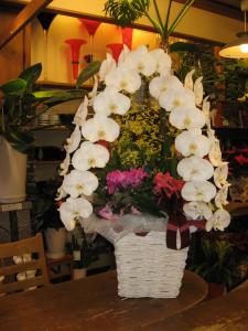 華やかさも増しますね～✿｜「フローリスト飾り屋」　（鹿児島県鹿児島市の花キューピット加盟店 花屋）のブログ
