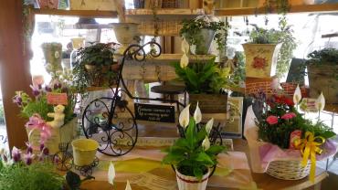 本日の店内の様子です❤｜「フローリスト飾り屋」　（鹿児島県鹿児島市の花キューピット加盟店 花屋）のブログ