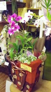 オシャレの秋～　お花も一層　華やぎます～☆☆☆・・・｜「フローリスト飾り屋」　（鹿児島県鹿児島市の花キューピット加盟店 花屋）のブログ