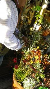 ”秋の寄せ植え”｜「フローリスト飾り屋」　（鹿児島県鹿児島市の花キューピット加盟店 花屋）のブログ