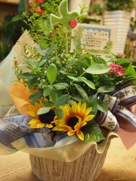 父の日＆夏の風物詩が利いています～　チリン　チリン～・・・｜「フローリスト飾り屋」　（鹿児島県鹿児島市の花キューピット加盟店 花屋）のブログ