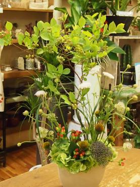 明日６月２１日は『夏至』ですよ・・・・｜「フローリスト飾り屋」　（鹿児島県鹿児島市の花キューピット加盟店 花屋）のブログ