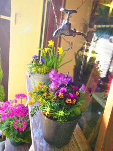 冬の花たち　健気に咲いています～｜「フローリスト飾り屋」　（鹿児島県鹿児島市の花キューピット加盟店 花屋）のブログ