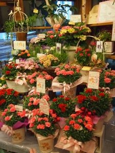 いよいよ母の日｜「フローリスト飾り屋」　（鹿児島県鹿児島市の花キューピット加盟店 花屋）のブログ