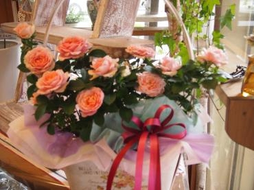 遅れてごめんね　母の日のプレゼント　今日になっちゃったけど❤｜「フローリスト飾り屋」　（鹿児島県鹿児島市の花キューピット加盟店 花屋）のブログ