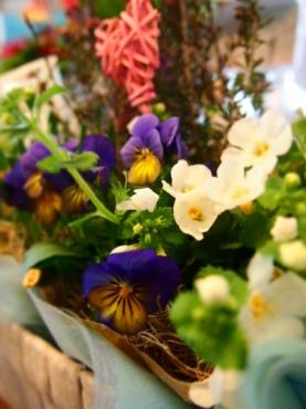 成人御祝や　春の寄せ鉢セットのおすすめ～です。｜「フローリスト飾り屋」　（鹿児島県鹿児島市の花キューピット加盟店 花屋）のブログ