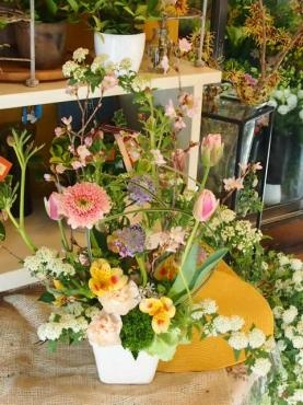 春の花便り　エトセトラ　♪　♫｜「フローリスト飾り屋」　（鹿児島県鹿児島市の花キューピット加盟店 花屋）のブログ