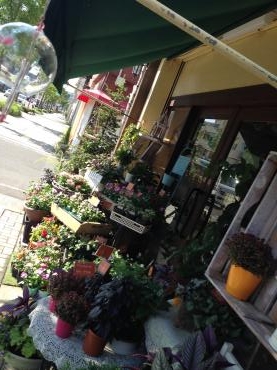 爽やかな　風にのって～｜「フローリスト飾り屋」　（鹿児島県鹿児島市の花キューピット加盟店 花屋）のブログ