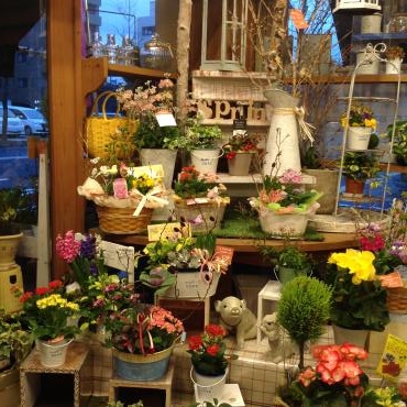 プレゼントにおススメします・・・春の寄せ鉢セット✿ー｜「フローリスト飾り屋」　（鹿児島県鹿児島市の花キューピット加盟店 花屋）のブログ