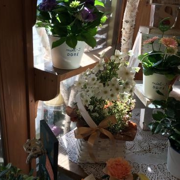 ４月の風に吹かれて～お花たちが輝きます✿｜「フローリスト飾り屋」　（鹿児島県鹿児島市の花キューピット加盟店 花屋）のブログ