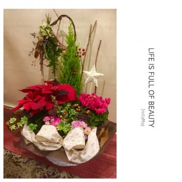 さあ師走のはじまりです・・・素敵な贈り物に！｜「フローリスト飾り屋」　（鹿児島県鹿児島市の花キューピット加盟店 花屋）のブログ