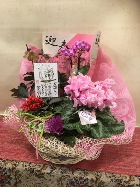 お歳暮のお届けいたしました。｜「フローリスト飾り屋」　（鹿児島県鹿児島市の花キューピット加盟店 花屋）のブログ