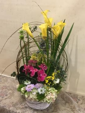 春の花いっぱい、週末は会場へ～｜「フローリスト飾り屋」　（鹿児島県鹿児島市の花キューピット加盟店 花屋）のブログ