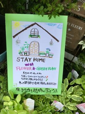 STAY　HOME　with　Flower　｜「フローリスト飾り屋」　（鹿児島県鹿児島市の花キューピット加盟店 花屋）のブログ