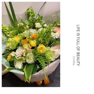 新緑のなかで・・・おススメ　の植物たち・・・｜「フローリスト飾り屋」　（鹿児島県鹿児島市の花キューピット加盟店 花屋）のブログ