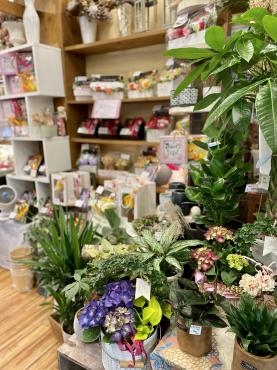 母の日のプレゼント、もうそろそろですよ・・・｜「フローリスト飾り屋」　（鹿児島県鹿児島市の花キューピット加盟店 花屋）のブログ