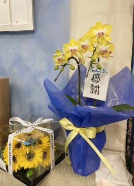 父の日のプレゼントに・・・｜「フローリスト飾り屋」　（鹿児島県鹿児島市の花キューピット加盟店 花屋）のブログ