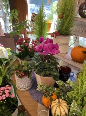 賑やかな季節になってきました｜「フローリスト飾り屋」　（鹿児島県鹿児島市の花キューピット加盟店 花屋）のブログ