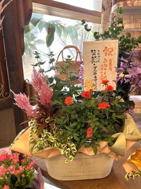 おすすめ！秋の花鉢ギフト|「フローリスト飾り屋」　（鹿児島県鹿児島市の花屋）のブログ