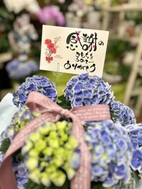 紫陽花・ダリア、初夏の花鉢へ～|「フローリスト飾り屋」　（鹿児島県鹿児島市の花屋）のブログ