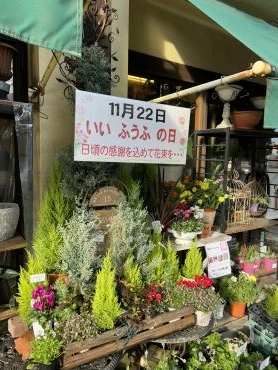 Happy　Wedding　Flower　gift…｜「フローリスト飾り屋」　（鹿児島県鹿児島市の花キューピット加盟店 花屋）のブログ