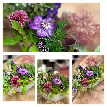 この時期の植物たち