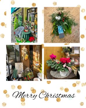 冬の花だより～ワー…