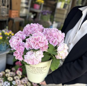 季節の変わり目、初夏へ母の日へ・・・｜「フローリスト飾り屋」　（鹿児島県鹿児島市の花キューピット加盟店 花屋）のブログ