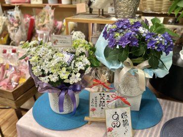 紫陽花～アレンジメント季節の花だより