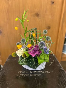 夏の彩り＆７月７日、七夕・・・